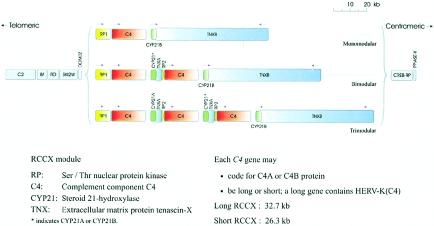 Figure  1