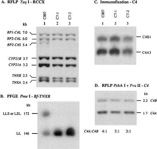 Figure  3