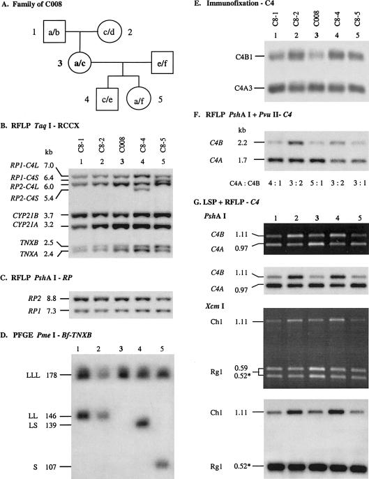 Figure  2