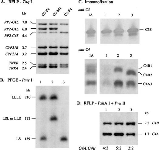 Figure  5