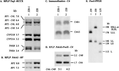 Figure  4