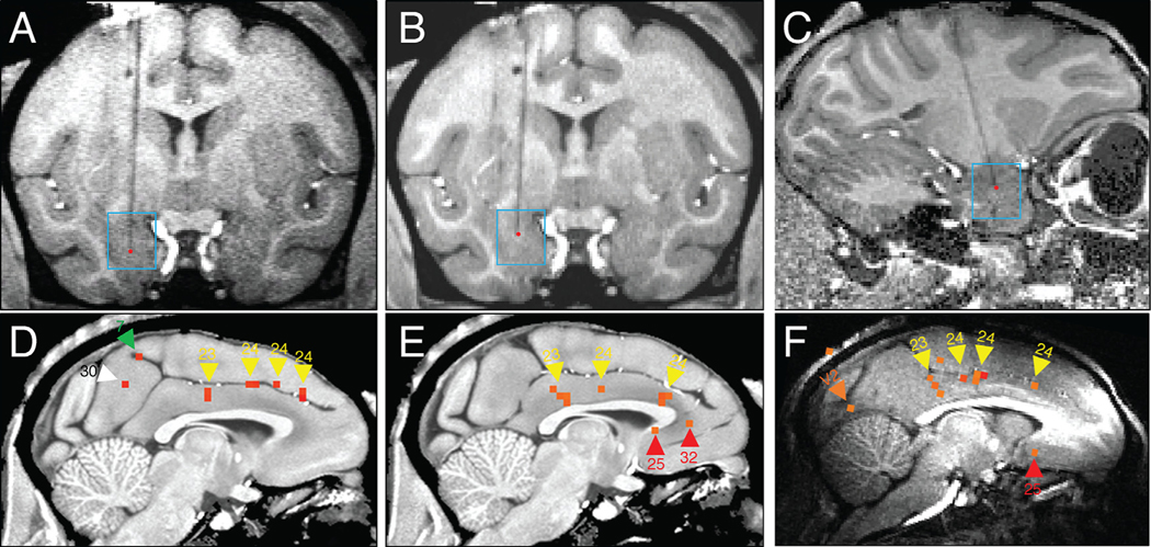 Fig. 8.