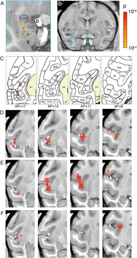 Fig. 7.