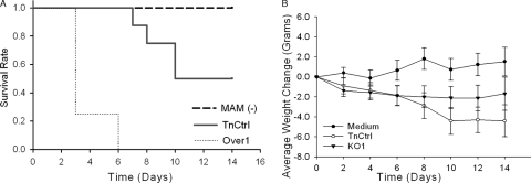 FIG. 6.