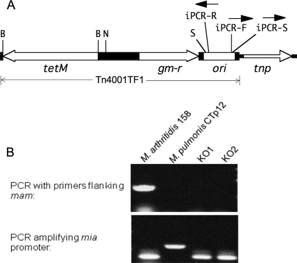 FIG. 1.