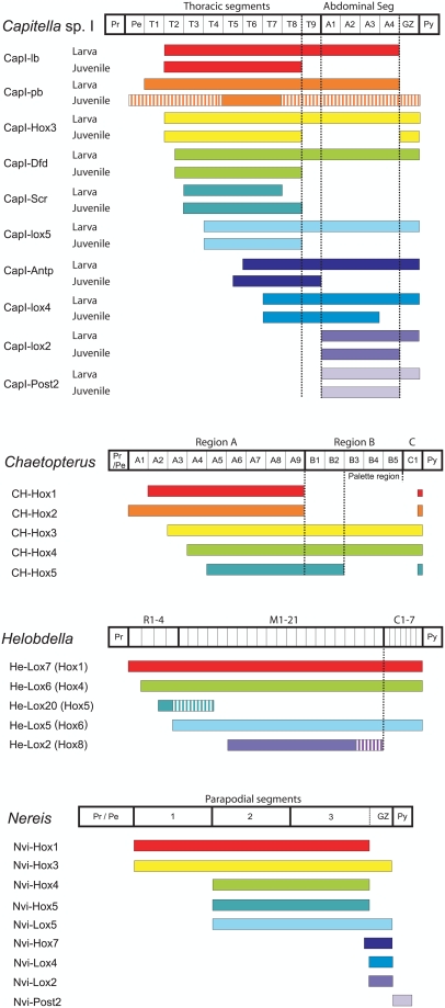 Figure 15