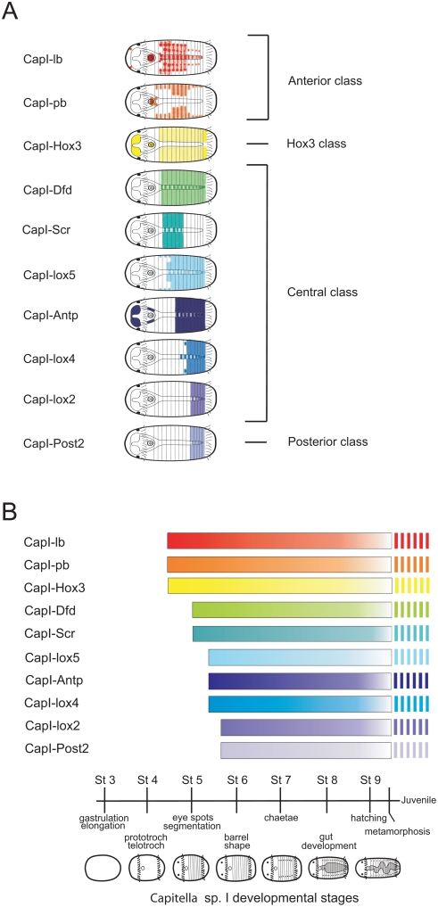 Figure 14