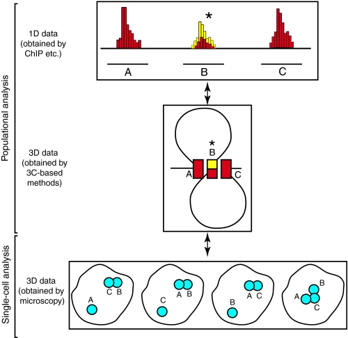 Fig. 3.