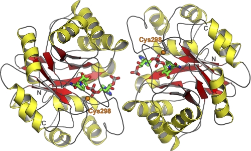 FIGURE 3.