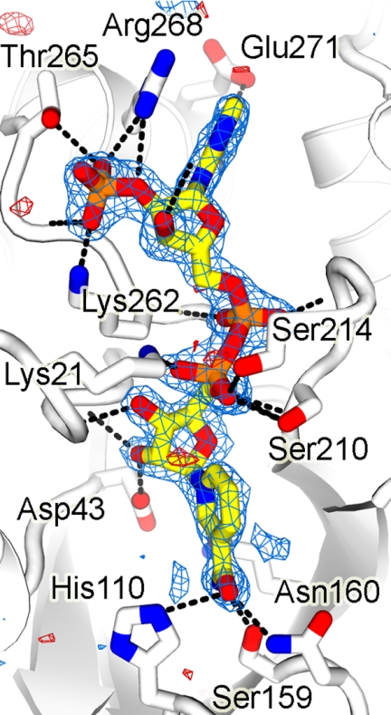 FIGURE 4.