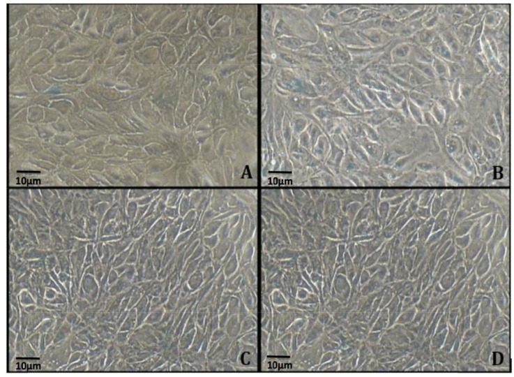 Fig. (2)