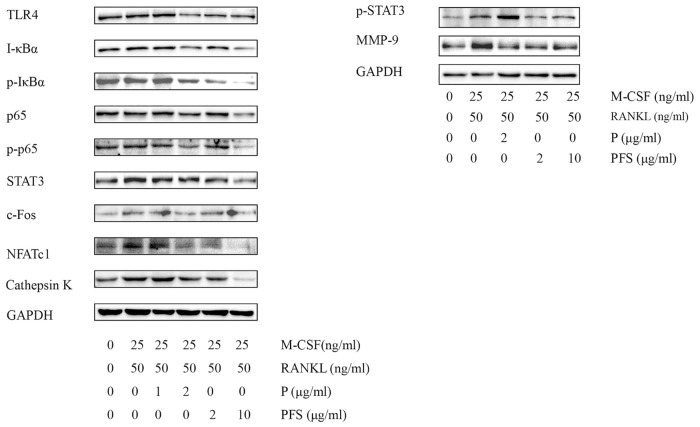 Fig 5