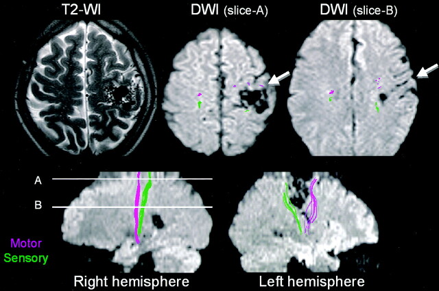 Fig 3.