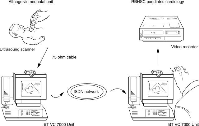 Figure 1  