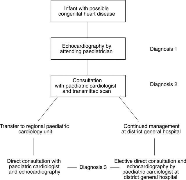 Figure 2  