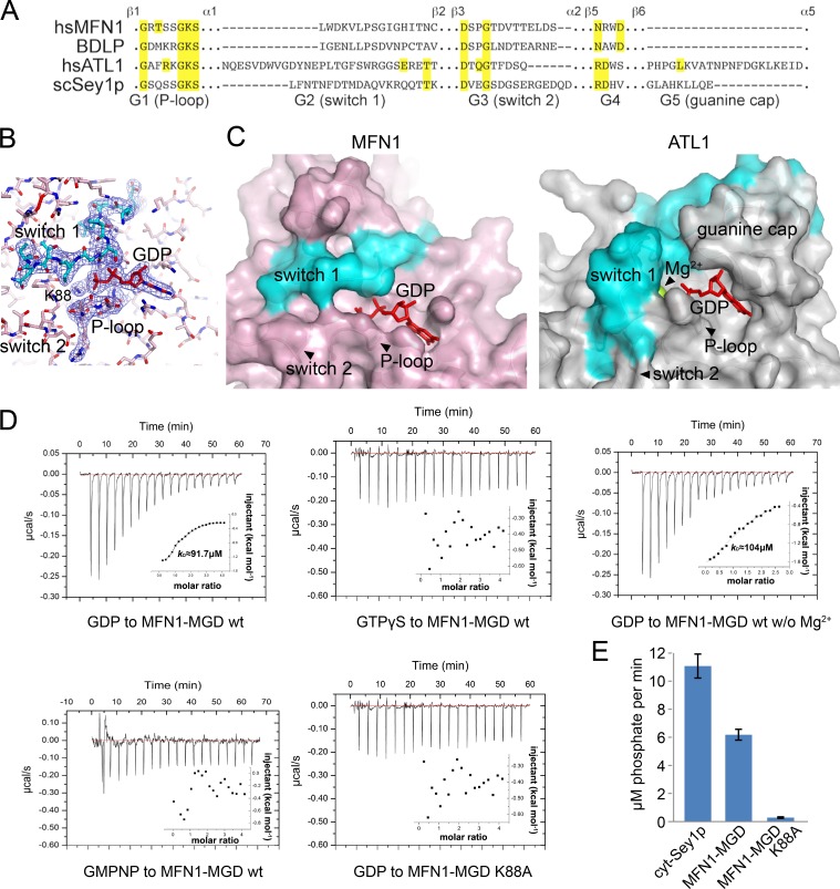 Figure 2.