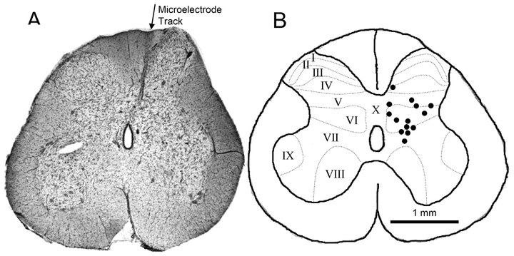 Fig. 8.