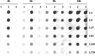 FIG. 2.