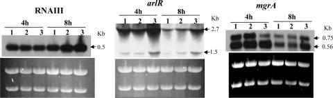 FIG. 7.