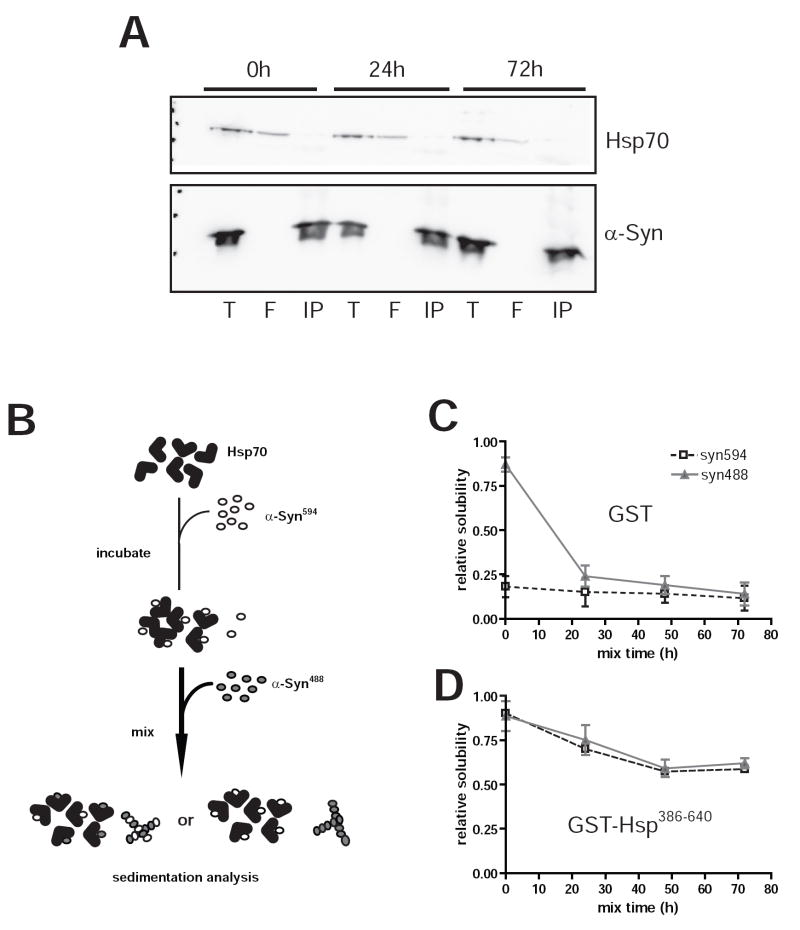 FIG. 6