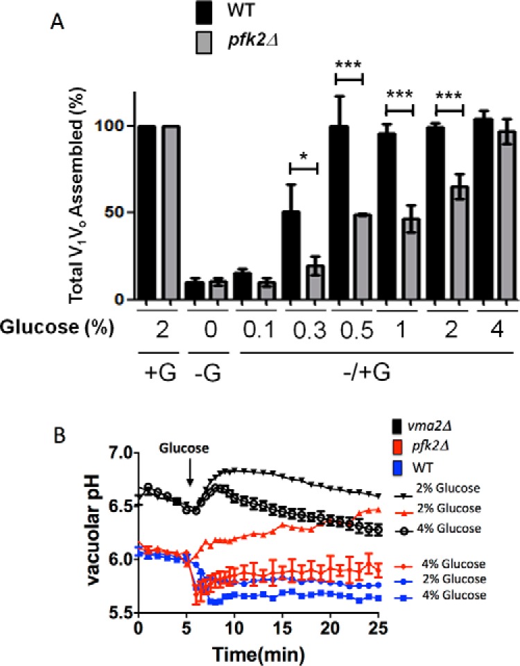 FIGURE 4.