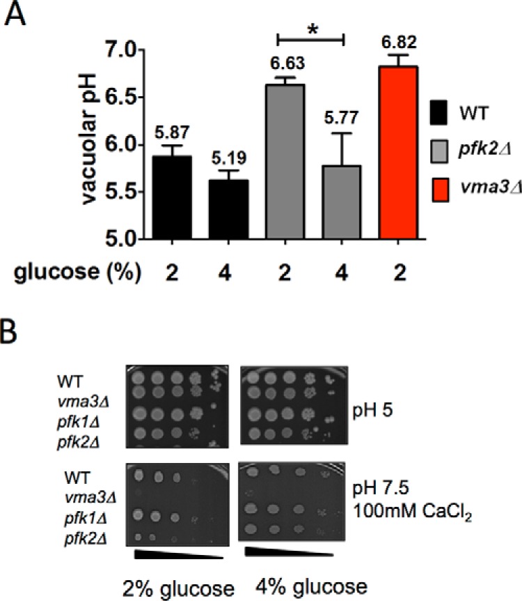 FIGURE 2.