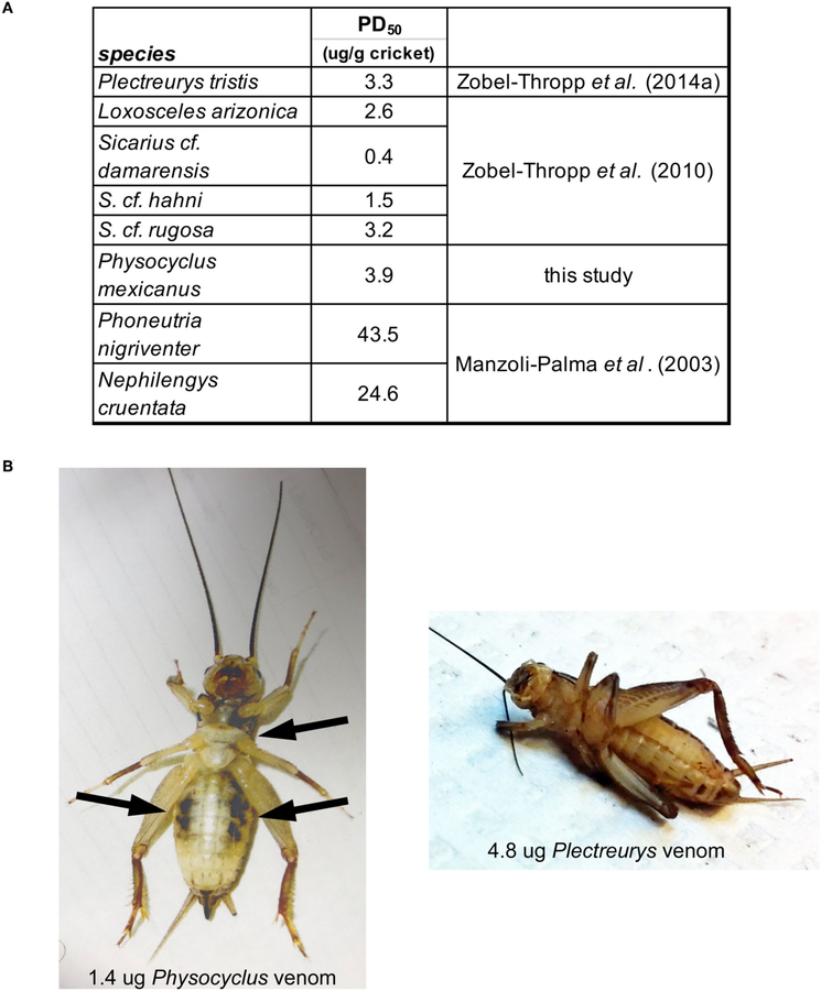 FIGURE 6 |