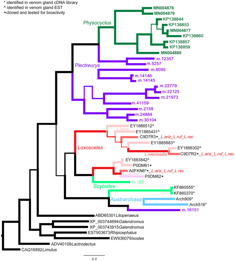 FIGURE 3 |