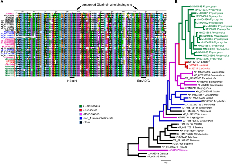 FIGURE 2 |