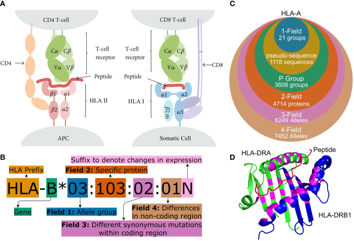 Figure 1