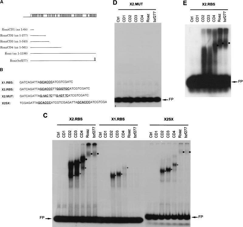 FIG. 6