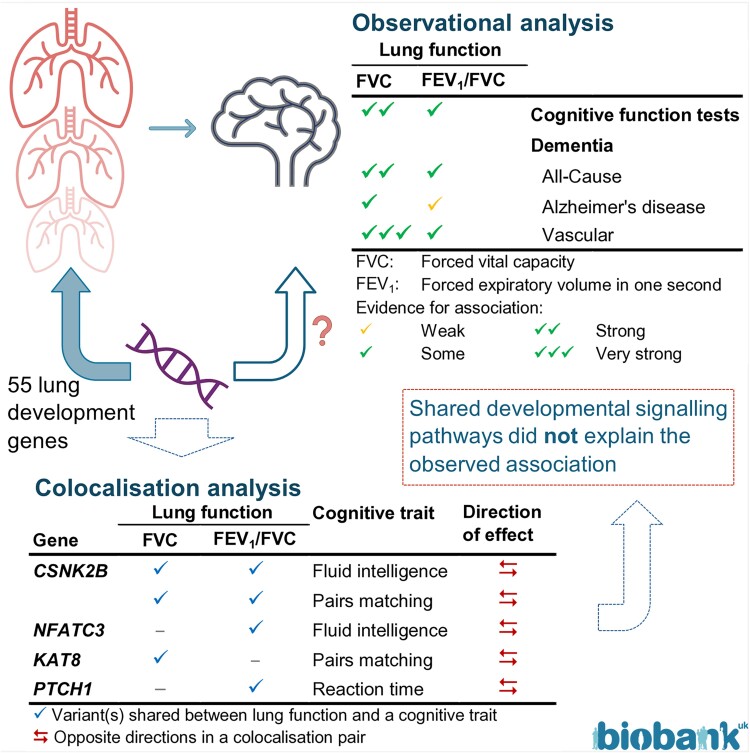 Graphical Abstract