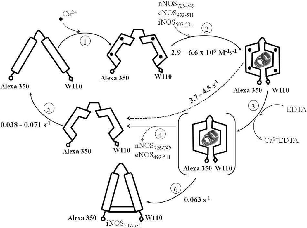 Scheme 2