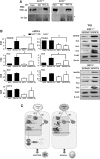 FIG. 7.