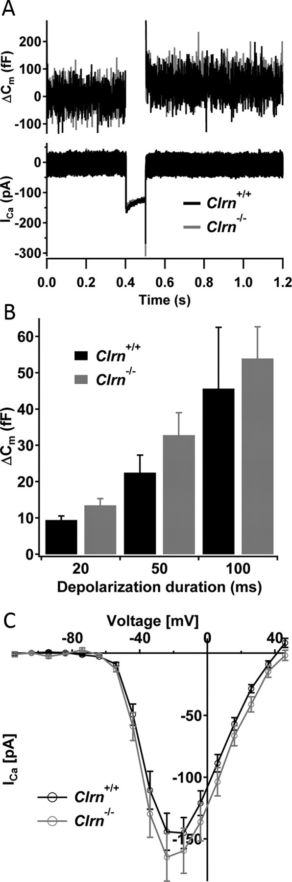 Figure 12.