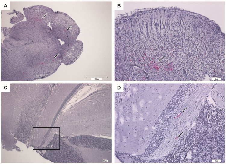 Figure 10