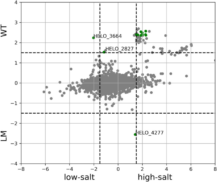 Figure 12