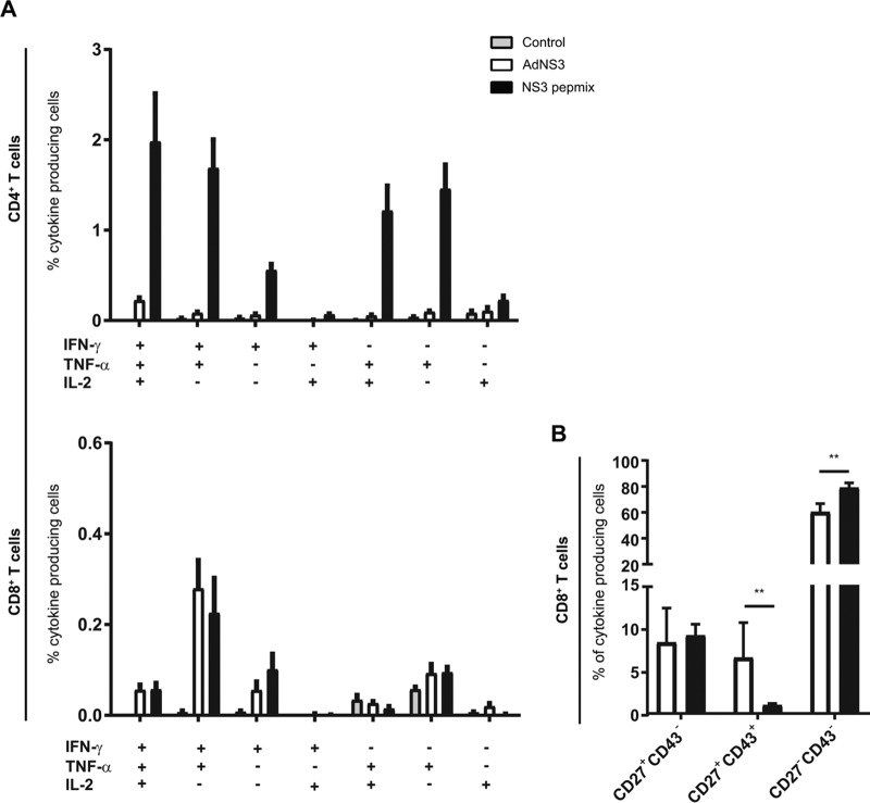 FIG 4