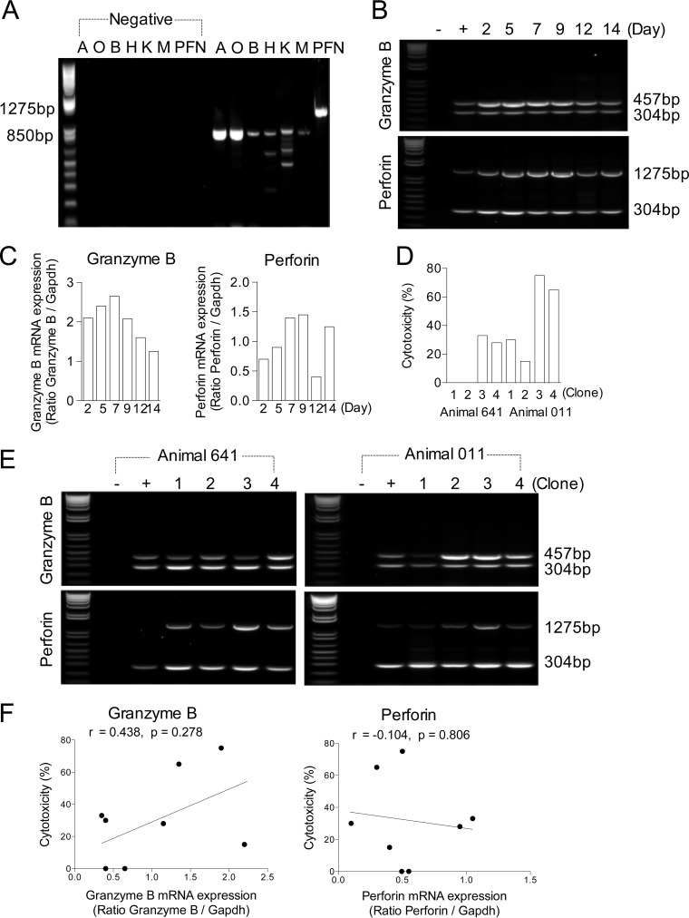 FIG 2