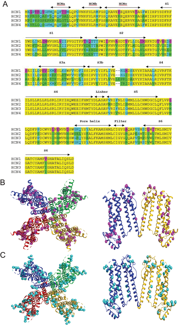 Figure 7: