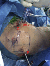 Fig 1