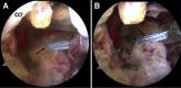 Fig 7