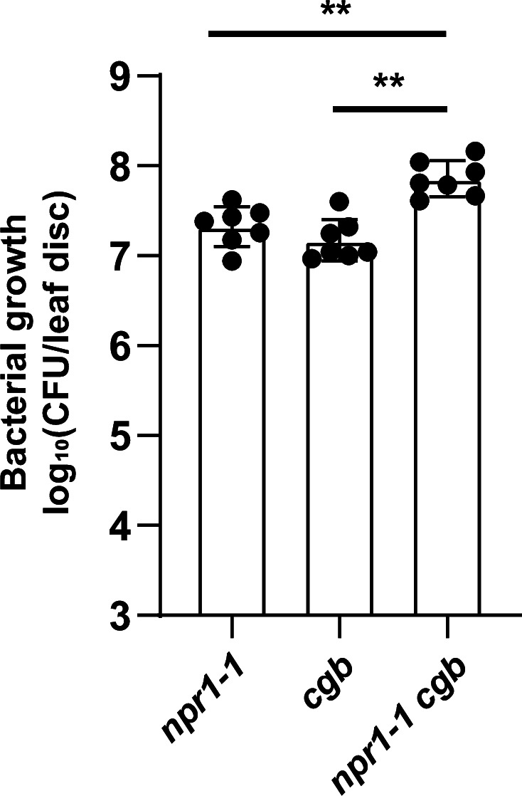 Figure 5—figure supplement 3.