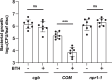 Figure 5—figure supplement 2.