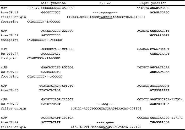 Figure 7.