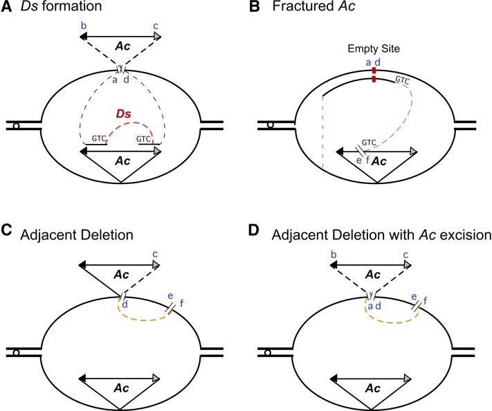 Figure 9.