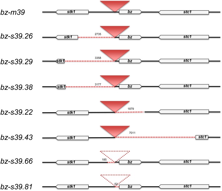 Figure 8.