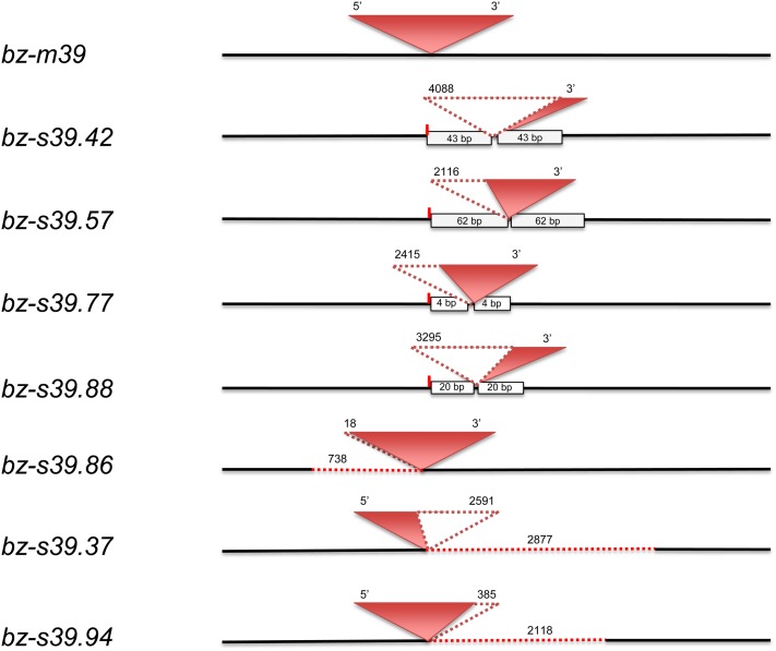 Figure 6.