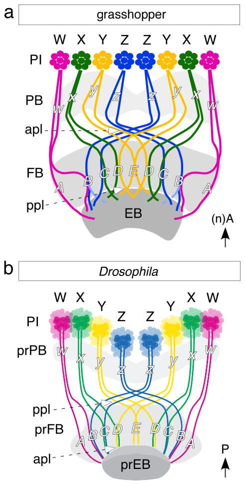 Fig. 7