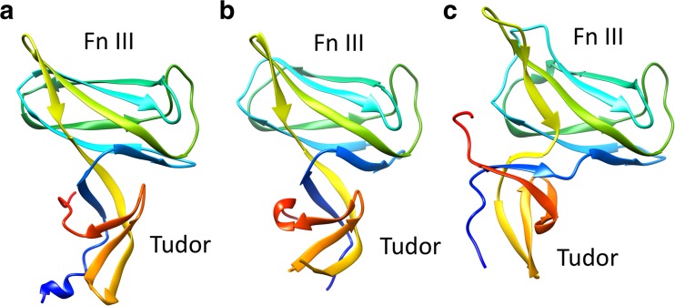 Fig. 7